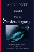 Cover: Wie im Schleudergang - epubli