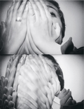 Cover: Throwing Gestures. - Verlag f&uuml;r Moderne Kunst
