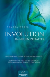 Enlarge image Cover: Involution im neuen Zeitalter - Wendepunkt Media