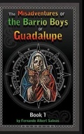 Cover: The Misadventures of the Barrio Boys of Guadalupe - Lulu.com