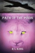 Cover: Path Of The Pinon - Sift Solutions