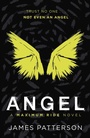 Cover: Angel: A Maximum Ride Novel - Arrow (Young)