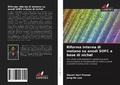 Cover: Riforma interna di metano su anodi SOFC a base di nichel - Edizioni Sapienza