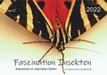 Cover: Faszination Insekten - Zerr, Sibylle