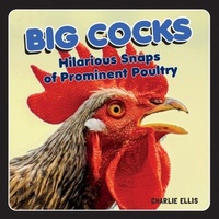 Abbildung von: Big Cocks - Summersdale Publishers