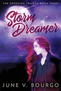 Cover: Storm Dreamer - Next Chapter