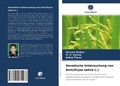 Cover: Genetische Untersuchung von Reis(Oryza sativa L.) - Verlag Unser Wissen