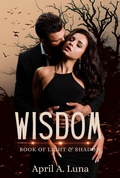Cover: Wisdom (Book of Light & Shadow, #2) - Book of Light & Shadow