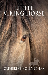 Abbildung von: Little Viking Horse - EponaWise Limited