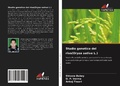 Cover: Studio genetico del riso(Oryza sativa L.) - Edizioni Sapienza