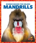 Cover: Mandrills - Pogo Books