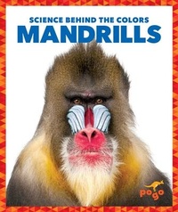 Enlarge image Cover: Mandrills - Pogo Books