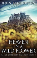 Cover: Heaven In A Wild Flower - Next Chapter