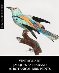 Abbildung von: Vintage Art - Blurb