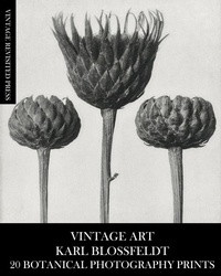 Abbildung von: Vintage Art - Blurb