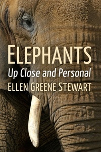 Abbildung von: Elephants - Toplight Books