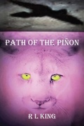 Cover: Path Of The Pi&ntilde;on - Sift Solutions