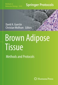 Abbildung von: Brown Adipose Tissue - Humana
