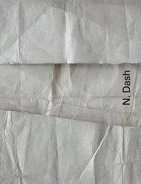 Abbildung von: N. Dash - Hatje Cantz Verlag