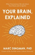Cover: Your Brain, Explained - John Murray Business