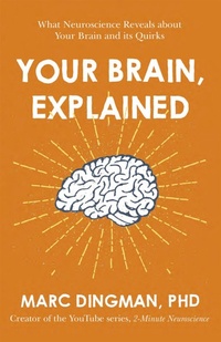 Enlarge image Cover: Your Brain, Explained - John Murray Business