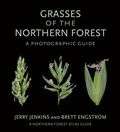 Cover: Grasses of the Northern Forest - Comstock Publishing Associates