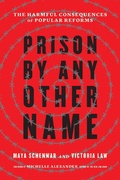 Cover: Prison by Any Other Name - The New Press
