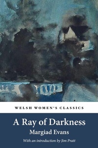 Abbildung von: A Ray of Darkness - Honno Press