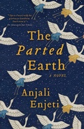 Cover: The Parted Earth - Hub City Press
