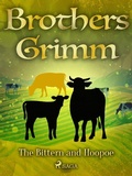 Cover: The Bittern and Hoopoe - Saga Egmont