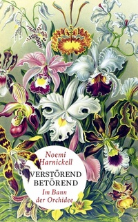 Abbildung von: Verstörend betörend - Im Bann der Orchidee - HarperCollins