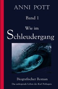Cover: Wie im Schleudergang - epubli