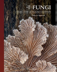 Abbildung von: The Lives of Fungi - Princeton University Press