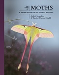 Bild: The Lives of Moths - Princeton University Press