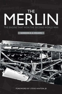 Enlarge image Cover: The Merlin - Amberley Publishing