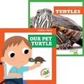 Cover: Turtles + Our Pet Turtle - Jump!, Inc. by Flutterbee