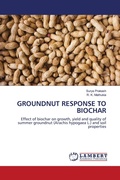 Cover: GROUNDNUT RESPONSE TO BIOCHAR - LAP Lambert Academic Publishing