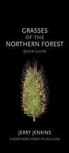 Cover: Grasses of the Northern Forest - Comstock Publishing Associates