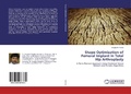 Cover: Shape Optimization of Femoral Implant in Total Hip Arthroplasty - LAP Lambert Academic Publishing