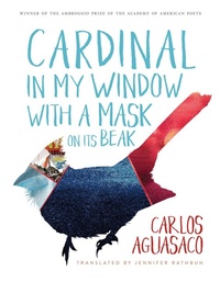 Enlarge image Cover: Cardinal in My Window with a Mask on Its Beak - University of Arizona Press