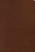 Cover: ESV Men's Study Bible - Crossway Books