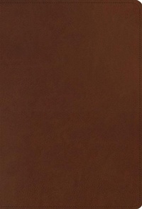 Enlarge image Cover: ESV Men's Study Bible - Crossway Books