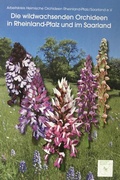 Cover: Die wildwachsenden Orchideen in Rheinland-Pfalz und im Saarland - K&ouml;llen