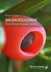 Abbildung von: Baumheilkunde - SYNERGIA-Verlag