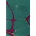 Cover: Andreas Eriksson Diary #6 - Paul Mcdevitt infinite greyscale