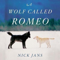 Enlarge image Cover: A Wolf Called Romeo - HarperAudio