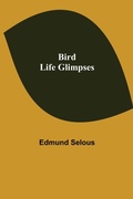 Cover: Bird Life Glimpses - ALPHA EDITION