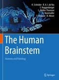 Abbildung von: The Human Brainstem - Springer