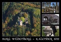 Cover: Burg Wildenberg - Waldkirch Verlag