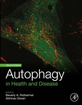 Bild: Autophagy in Health and Disease - Academic Press
